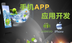 手機(jī)app開發(fā)11大步驟、技術(shù)人員、常用接口