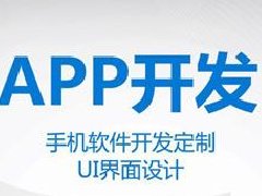 B2B手機(jī)APP開發(fā)教程